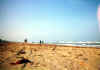beach&people.jpg (56758 bytes)