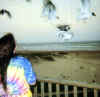 me&birds.jpg (31312 bytes)