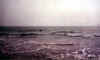 oceanpelican.jpg (68373 bytes)